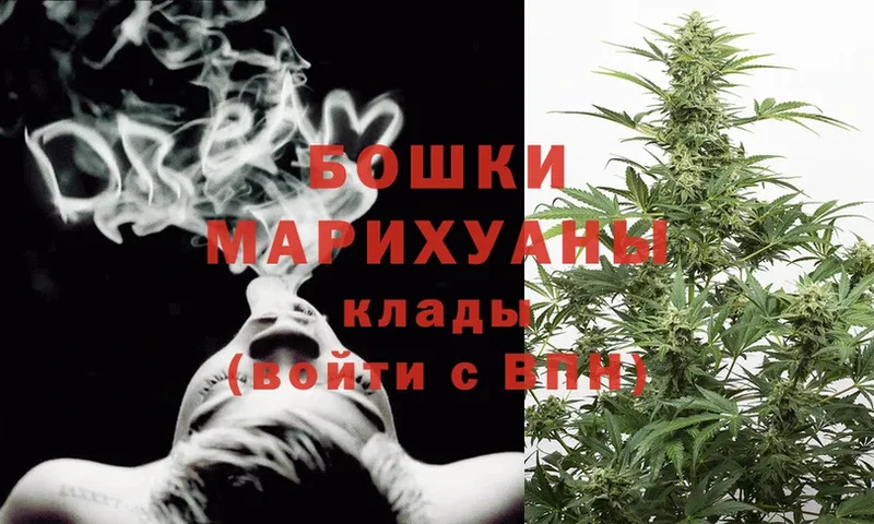 Бошки Шишки THC 21%  Дубовка 